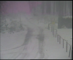 Nástup na běžecké tratě