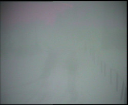 Nástup na běžecké tratě