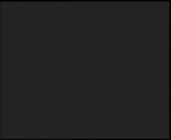 Nástup na běžecké tratě