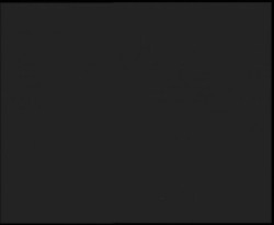 Nástup na běžecké tratě