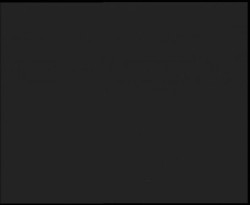 Nástup na běžecké tratě