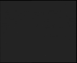 Nástup na běžecké tratě