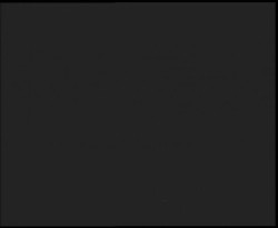 Nástup na běžecké tratě