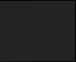 Nástup na běžecké tratě