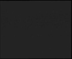 Nástup na běžecké tratě