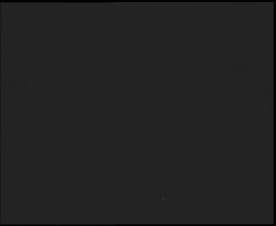 Nástup na běžecké tratě