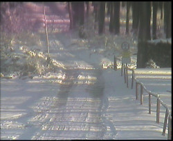 Nástup na běžecké tratě