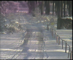Nástup na běžecké tratě