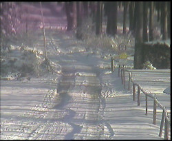 Nástup na běžecké tratě