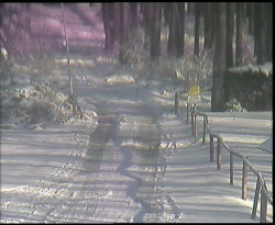 Nástup na běžecké tratě