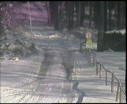 Nástup na běžecké tratě