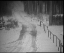 Nástup na běžecké tratě