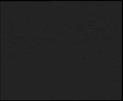 Nástup na běžecké tratě