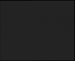 Nástup na běžecké tratě