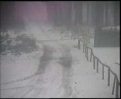 Nástup na běžecké tratě