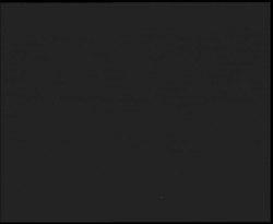 Nástup na běžecké tratě