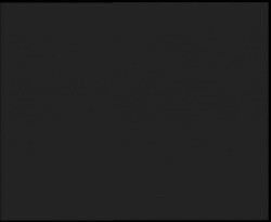 Nástup na běžecké tratě