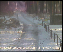 Nástup na běžecké tratě