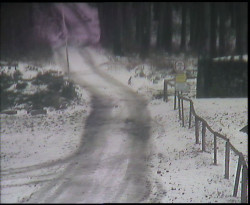 Nástup na běžecké tratě