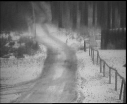 Nástup na běžecké tratě