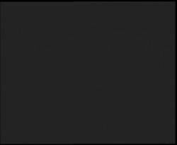 Nástup na běžecké tratě