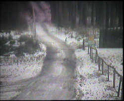 Nástup na běžecké tratě