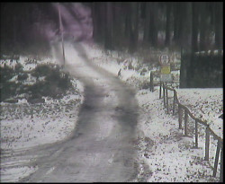 Nástup na běžecké tratě