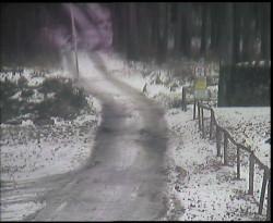 Nástup na běžecké tratě