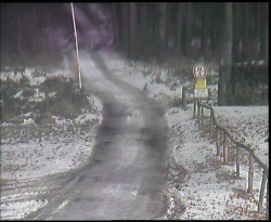 Nástup na běžecké tratě