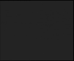 Nástup na běžecké tratě