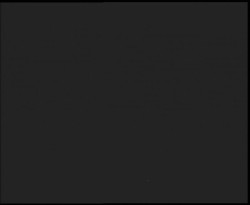 Nástup na běžecké tratě