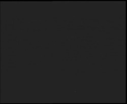 Nástup na běžecké tratě