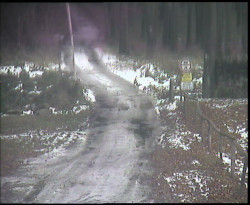 Nástup na běžecké tratě