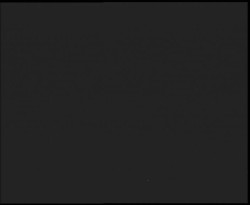 Nástup na běžecké tratě