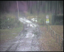 Nástup na běžecké tratě