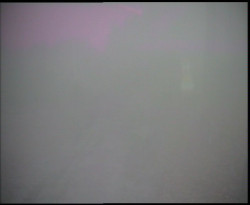 Nástup na běžecké tratě