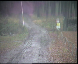 Nástup na běžecké tratě