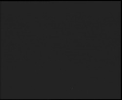 Nástup na běžecké tratě