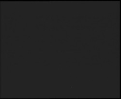 Nástup na běžecké tratě