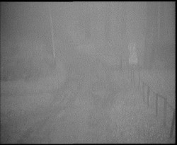 Nástup na běžecké tratě