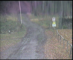 Nástup na běžecké tratě