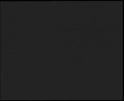 Nástup na běžecké tratě