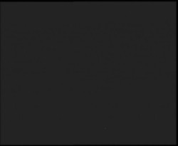 Nástup na běžecké tratě