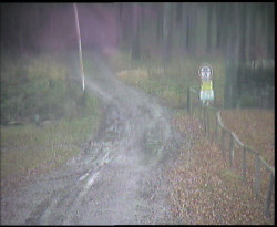 Nástup na běžecké tratě