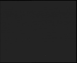 Nástup na běžecké tratě