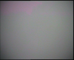 Nástup na běžecké tratě