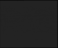 Nástup na běžecké tratě