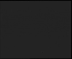 Nástup na běžecké tratě