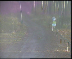 Nástup na běžecké tratě