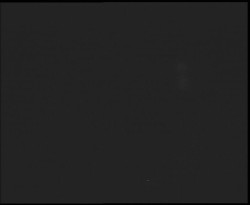 Nástup na běžecké tratě